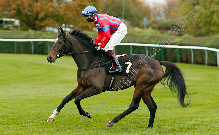 Land-Of-Winter-0002 
 LAND OF WINTER (Rob Hornby) before The Play 3-2-Win At Mansionbet Handicap
Nottingham 28 Oct 2020 - Pic Steven Cargill / Racingfotos.com