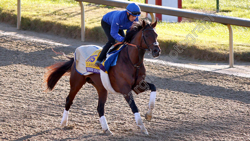 Thunder-Snow-0003 
 THUNDER SNOW exercising ahead of the The Breeders' Cup Classic
Churchill Downs USA 29 Oct 2018 - Pic Steven Cargill / Racingfotos.com