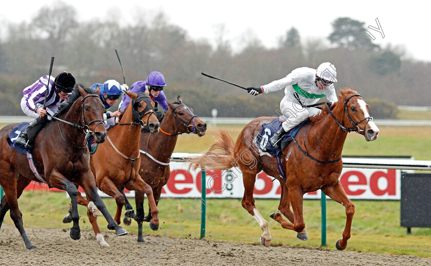 Utmost0007 
 UTMOST (Robert Havlin) beats VICTORY BOND (left) in The Betway Winter Derby Trial Stakes Lingfield 3 Feb 2018 - Pic Steven Cargill / Racingfotos.com