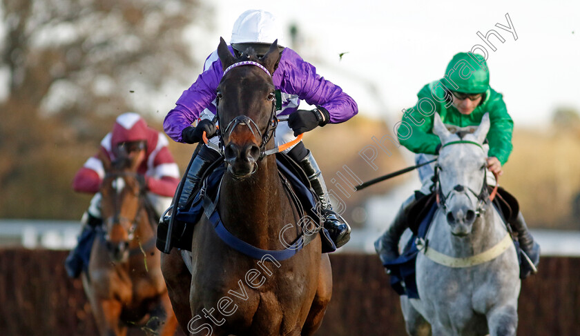 Rare-Edition-0005 
 RARE EDITION (David Bass)
Ascot 22 Nov 2024 - Pic Steven Cargill / Racingfotos.com