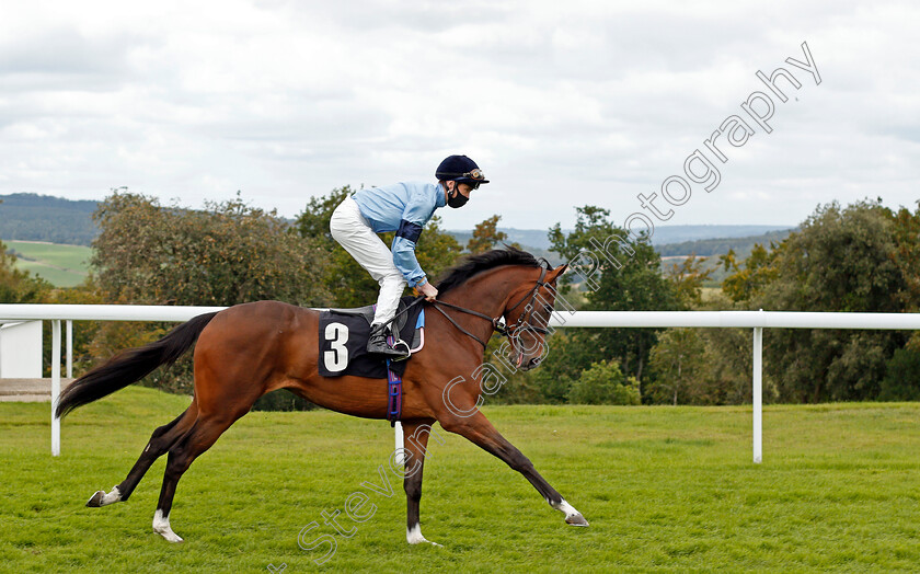 Flotilla-0008 
 FLOTILLA (David Egan)
Goodwood 29 Aug 2020 - Pic Steven Cargill / Racingfotos.com