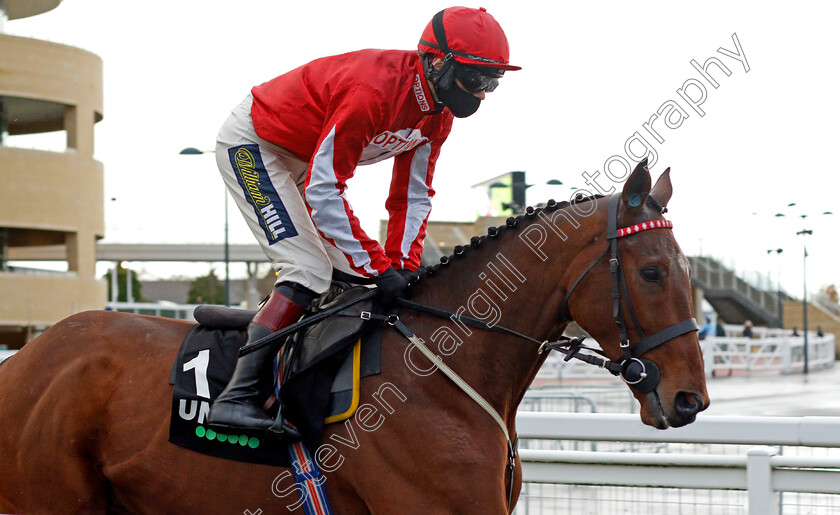 Ballyandy-0001 
 BALLYANDY (Sam Twiston-Davies)
Cheltenham 15 Nov 2020 - Pic Steven Cargill / Racingfotos.com