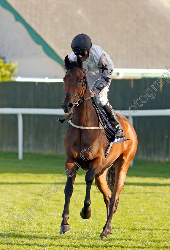 Joanie-Stubbs-0001 
 JOANIE STUBBS (Kieran Shoemark)
Yarmouth 25 Aug 2020 - Pic Steven Cargill / Racingfotos.com