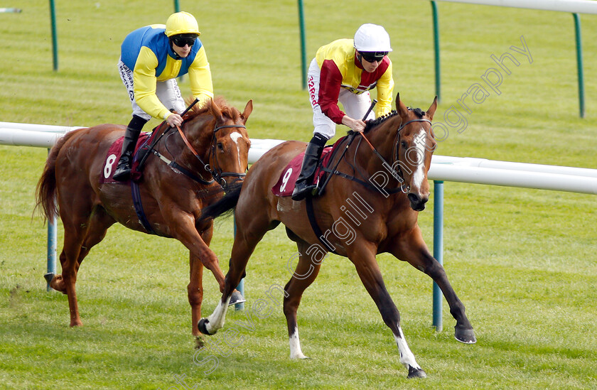 Sebastian s-Wish-0001 
 SEBASTIAN'S WISH (Jamie Spencer)
Haydock 26 May 2018 - Pic Steven Cargill / Racingfotos.com