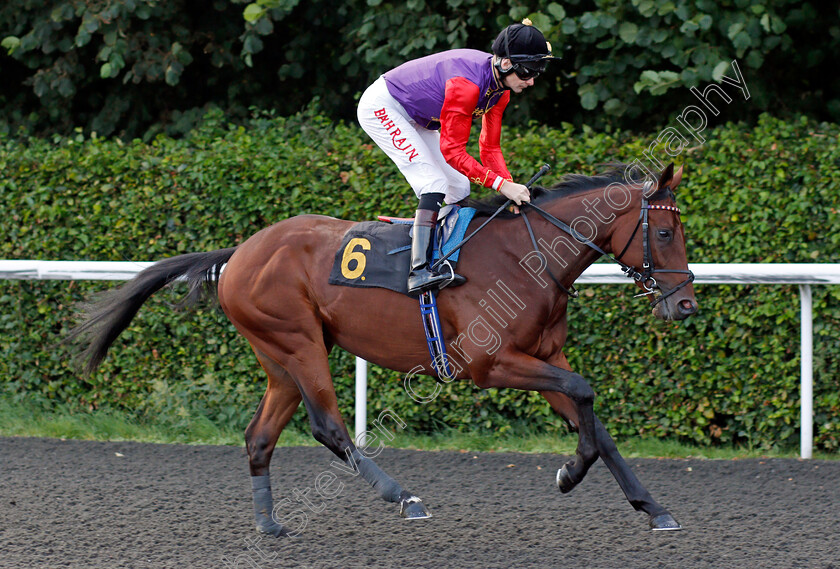 Park-Street-0001 
 PARK STREET (Robert Havlin)
Kempton 3 Sep 2021 - Pic Steven Cargill / Racingfotos.com