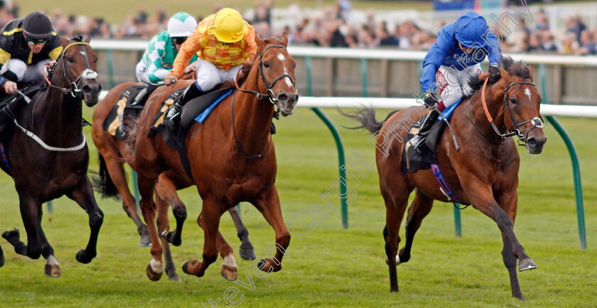 Dubai-Legacy-0002 
 DUBAI LEGACY (Oisin Murphy) beats SPANISH CITY (centre) in The Newmarket Journal And Velvet Magazine Handicap
Newmarket 28 Sep 2019 - Pic Steven Cargill / Racingfotos.com