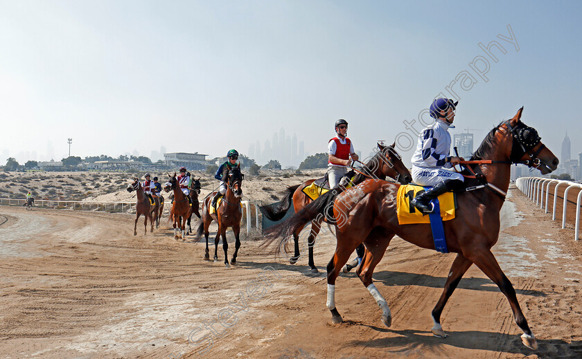 Jebel-Ali-0002 
 Horses walk to the start at Jebel Ali, Dubai 9 Feb 2018 - Pic Steven Cargill / Racingfotos.com