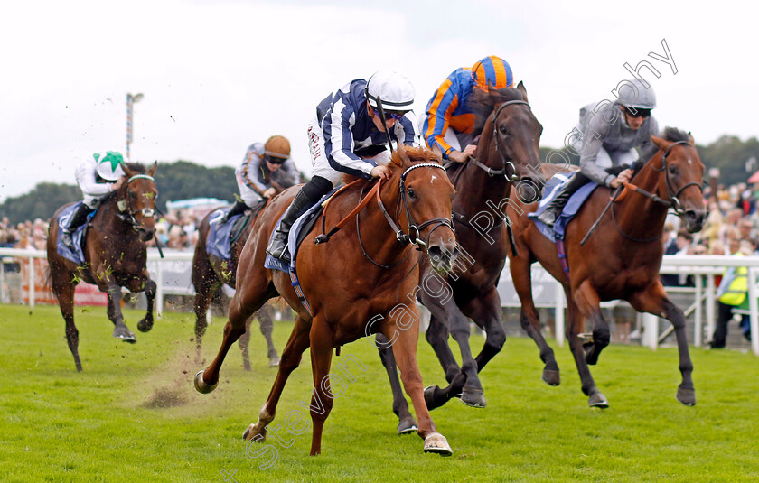 Lake-Forest-0003 
 LAKE FOREST (Tom Marquand) wins The Al Basti Equiworld Gimcrack Stakes
York 25 Aug 2023 - Pic Steven Cargill / Racingfotos.com