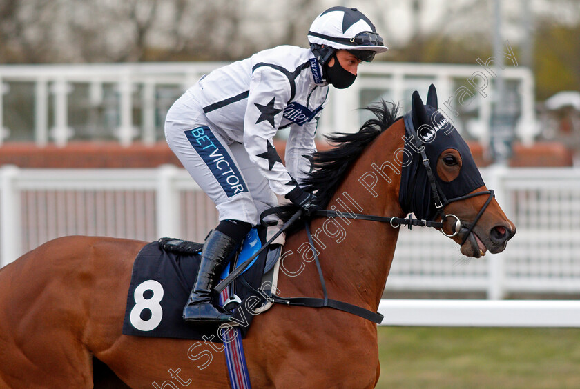 Silent-Queen-0001 
 SILENT QUEEN (Nicola Currie)
Chelmsford 29 Apr 2021 - Pic Steven Cargill / Racingfotos.com