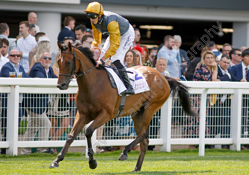 Aviation-Time-0001 
 AVIATION TIME (James Doyle)
Ascot 27 Jul 2024 - Pic Steven Cargill / Racingfotos.com