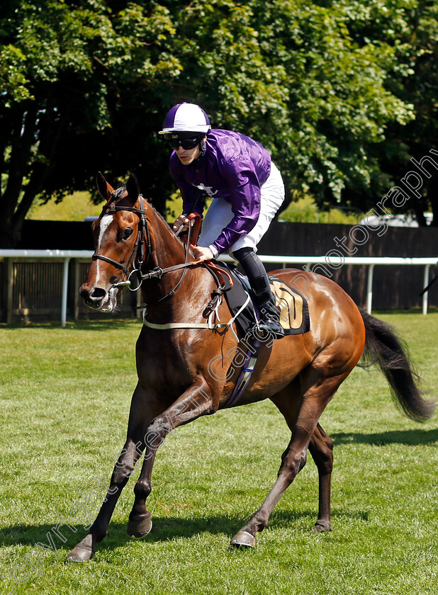 Sunshine-State-0001 
 SUNSHINE STATE (Richard Kingscote)
Newmarket 29 Jun 2024 - Pic Steven Cargill / Racingfotos.com