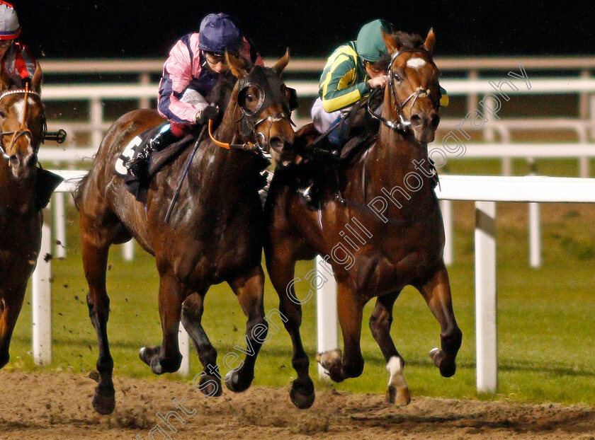 Lord-Lovelace-and-Golden-Owl-0002 
 GOLDEN OWL (left, Oisin Murphy) and LORD LOVELACE (right, William Buick) in The Support The Injured Jockeys Fund Novice Stakes
Chelmsford 14 Oct 2021 - Pic Steven Cargill / Racingfotos.com