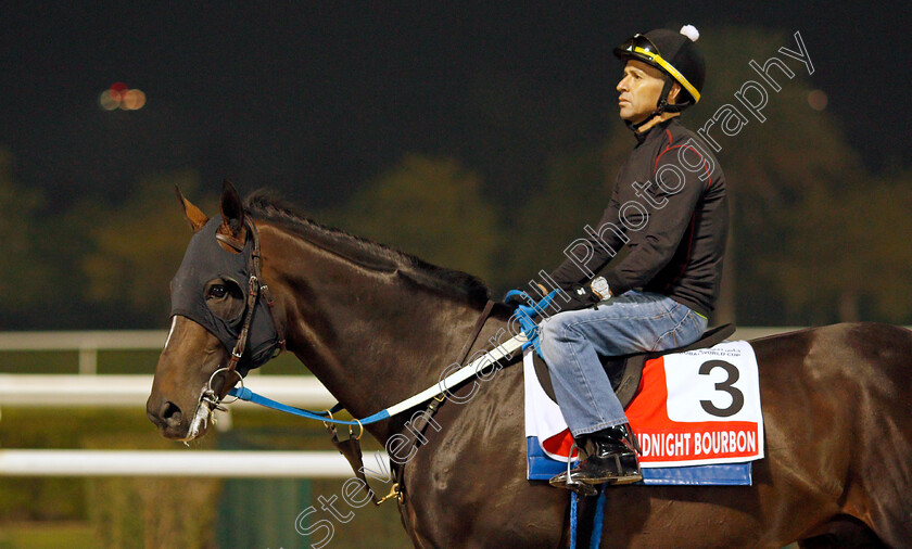 Midnight-Bourbon-0003 
 MIDNIGHT BOURBON training for the Dubai World Cup
Meydan, Dubai, 22 Mar 2022 - Pic Steven Cargill / Racingfotos.com