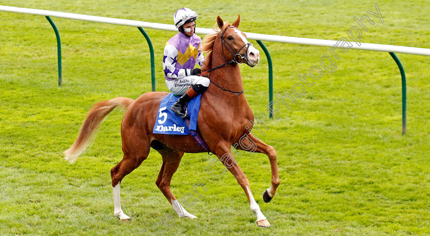 Starzintheireyes-0006 
 STARZINTHEIREYES (Rossa Ryan) winner of The Zetland Stakes
Newmarket 12 Oct 2024 - Pic Steven Cargill / Racingfotos.com