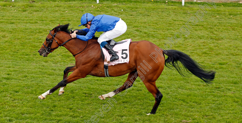 Hidden-Law-0001 
 HIDDEN LAW (William Buick) wins The Boodles Chester Vase
Chester 8 May 2024 - Pic Steven Cargill / Racingfotos.com