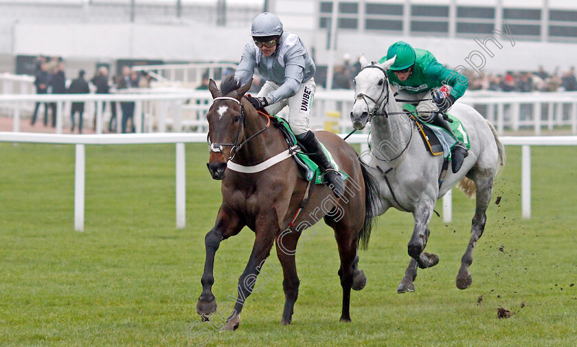 Santini-0005 
 SANTINI (Nico de Boinville) beats BRISTOL DE MAI (right) in The Paddy Power Cotswold Chase
Cheltenham 25 Jan 2020 - Pic Steven Cargill / Racingfotos.com