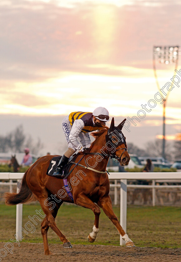 Seixas-0001 
 SEIXAS (David Probert)
Chelmsford 26 Nov 2020 - Pic Steven Cargill / Racingfotos.com