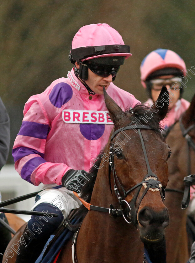 Crambo-0017 
 CRAMBO (Jonathan Burke) winner of The Howden Long Walk Hurdle
Ascot 21 Dec 2024 - Pic Steven Cargill / Racingfotos.com