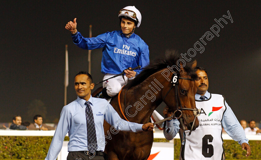 Gold-Town-0014 
 GOLD TOWN (William Buick) after The UAE 2000 Guineas Trial Div1 Meydan 25 Jan 2018 - Pic Steven Cargill