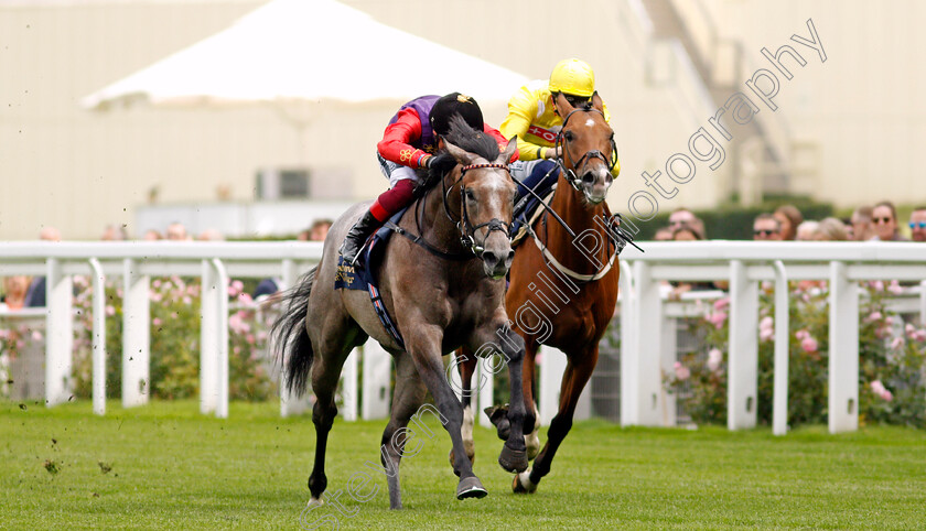 Saga-0003 
 SAGA (Frankie Dettori) beats KOY KOY (right) in The Charbonnel Et Walker British EBF Maiden Stakes
Ascot 3 Sep 2021 - Pic Steven Cargill / Racingfotos.com