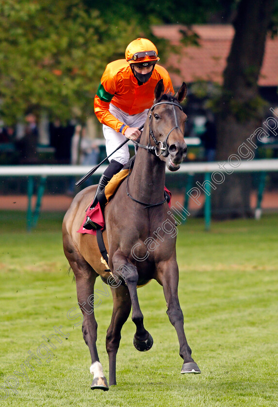 Golden-Viola-0001 
 GOLDEN VIOLA (James Doyle)
Haydock 28 May 2021 - Pic Steven Cargill / Racingfotos.com