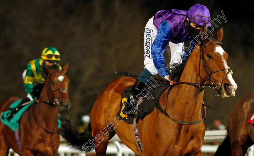 Alchemystique-0001 
 ALCHEMYSTIQUE (David Probert)
Kempton 24 Feb 2021 - Pic Steven Cargill / Racingfotos.com