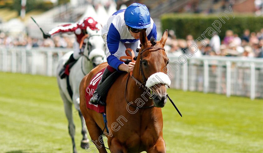 Lady-Princess-0004 
 LADY PRINCESS (Oisin Murphy) wins The Qatar International Stakes (Group 1 for purebred arabians)
Goodwood 28 Jul 2021 - Pic Steven Cargill / Racingfotos.com