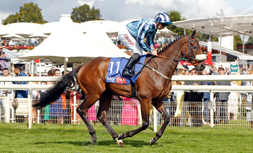 Chillhi-0001 
 CHILLHI (Connor Beasley)
York 26 Aug 2023 - Pic Steven Cargill / Racingfotos.com