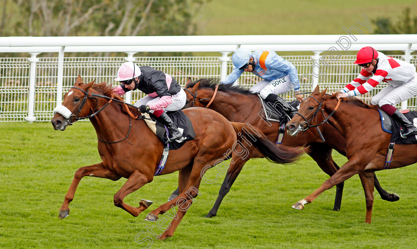 Classic-Lord-0003 
 CLASSIC LORD (Oisin Murphy) wins The Ladbrokes Watch Racing Online For Free Maiden Auction Stakes
Goodwood 30 Aug 2020 - Pic Steven Cargill / Racingfotos.com