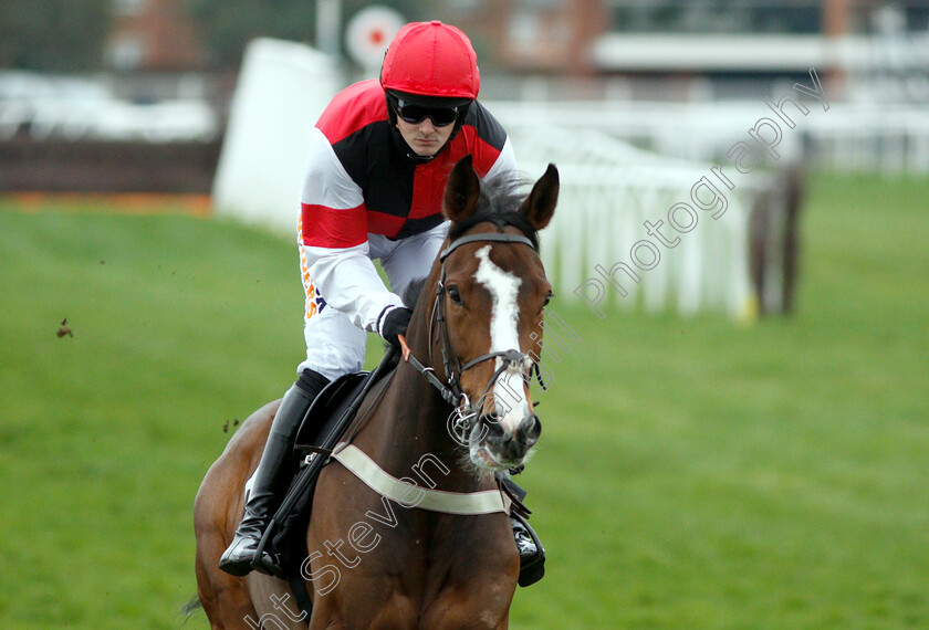 Logan-Rocks-0001 
 LOGAN ROCKS (Jack Quinlan)
Newbury 22 Mar 2019 - Pic Steven Cargill / Racingfotos.com