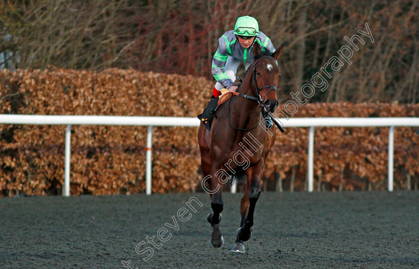 Intrepidly-0001 
 INTREPIDLY (Andrea Atzeni) Kempton 7 Mar 2018 - Pic Steven Cargill / Racingfotos.com