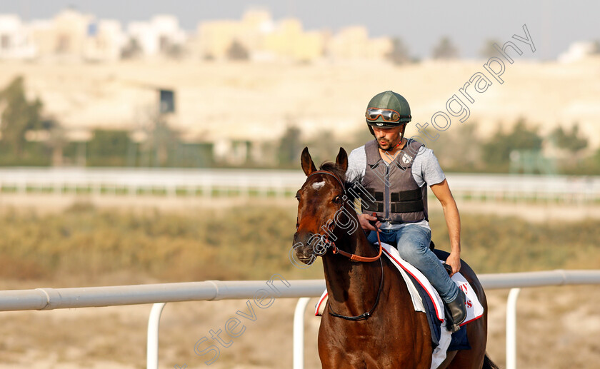 Magny-Cours-0004 
 MAGNY COURS exercising in preparation for Friday's Bahrain International Trophy
Sakhir Racecourse, Bahrain 17 Nov 2021 - Pic Steven Cargill / Racingfotos.com