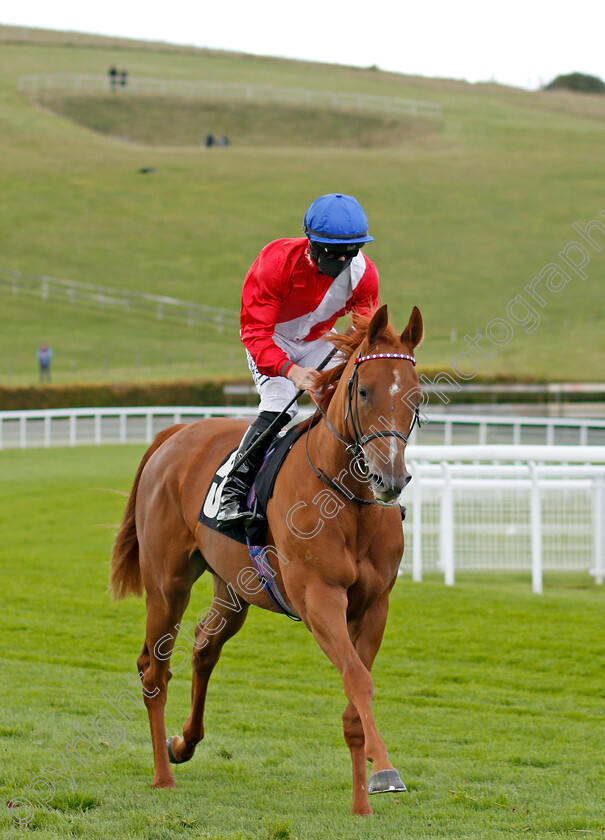 Conservatoire-0001 
 CONSERVATOIRE (Tom Marquand) winner of The Download The tote Placepot App Irish EBF Nursery
Goodwood 11 Oct 2020 - Pic Steven Cargill / Racingfotos.com