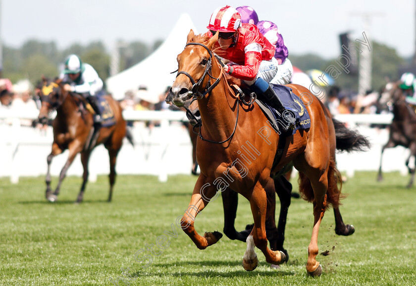 Daahyeh-0005 
 DAAHYEH (David Egan) wins The Albany Stakes
Royal Ascot 21 Jun 2019 - Pic Steven Cargill / Racingfotos.com