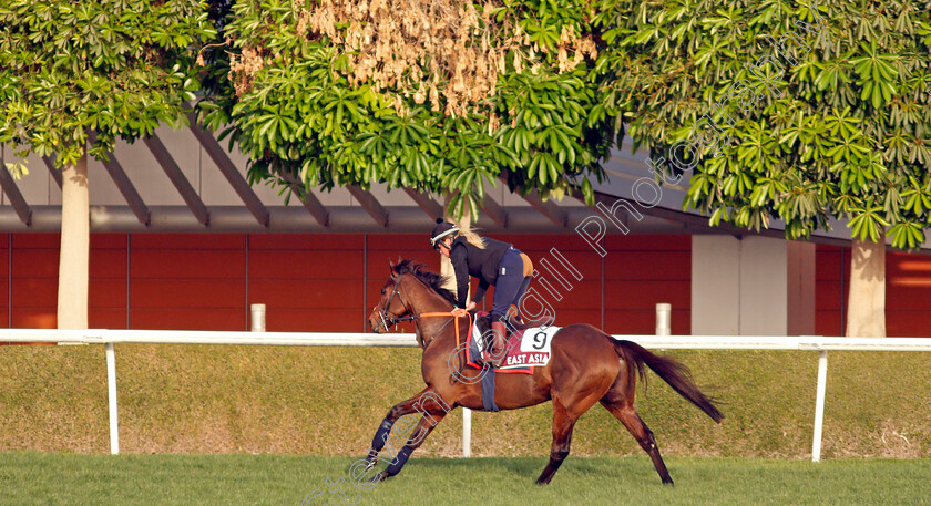 East-Asia-0001 
 EAST ASIA training for the Dubai Gold Cup
Meydan, Dubai, 23 Mar 2022 - Pic Steven Cargill / Racingfotos.com