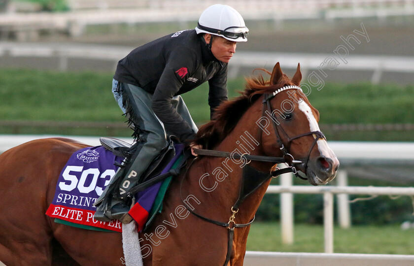 Elite-Power-0001 
 ELITE POWER training for The Breeders' Cup Sprint
Santa Anita USA, 31 October 2023 - Pic Steven Cargill / Racingfotos.com