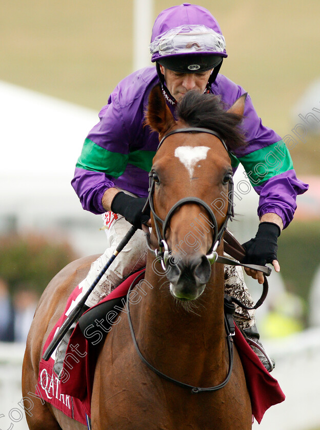 Milltown-Star-0001 
 MILLTOWN STAR (Franny Norton)
Goodwood 30 Jul 2019 - Pic Steven Cargill / Racingfotos.com