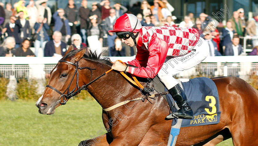 High-As-A-Kite-0004 
 HIGH AS A KITE (Rafael Schistl) wins The Lanwades Stud Stakes
Bro Park, Sweden 23 Sep 2018 - Pic Steven Cargill / Racingfotos.com