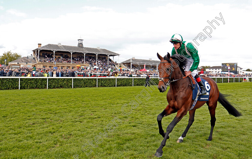 Raheen-House-0001 
 RAHEEN HOUSE (Adam Kirby) Doncaster 16 Sep 2017 - Pic Steven Cargill / Racingfotos.com