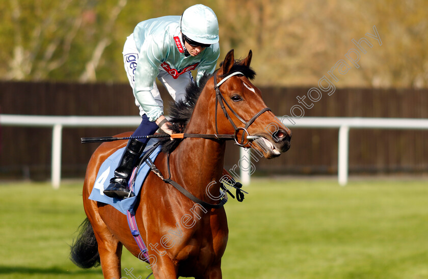 Penguin-Island 
 PENGUIN ISLAND (David Probert)
Leicester 23 Apr 2022 - Pic Steven Cargill / Racingfotos.com