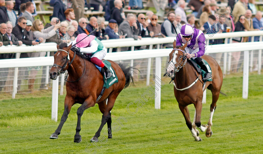 Samburu-0002 
 SAMBURU (left, Frankie Dettori) beats SNOOZE N YOU LOSE (right) in The Paddy Power Here For The Craic Handicap
York 11 May 2022 - Pic Steven Cargill / Racingfotos.com