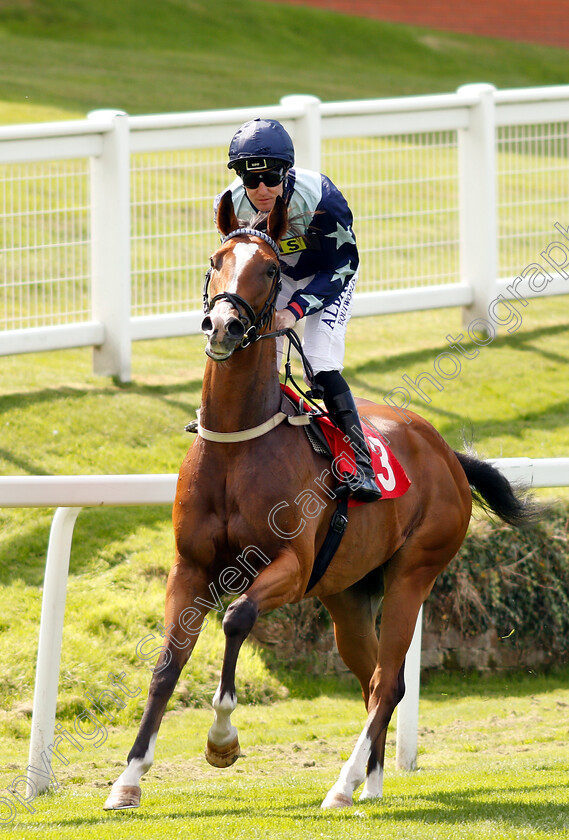 Shining-0001 
 SHINING (Pat Cosgrave)
Sandown 31 Aug 2018 - Pic Steven Cargill / Racingfotos.com