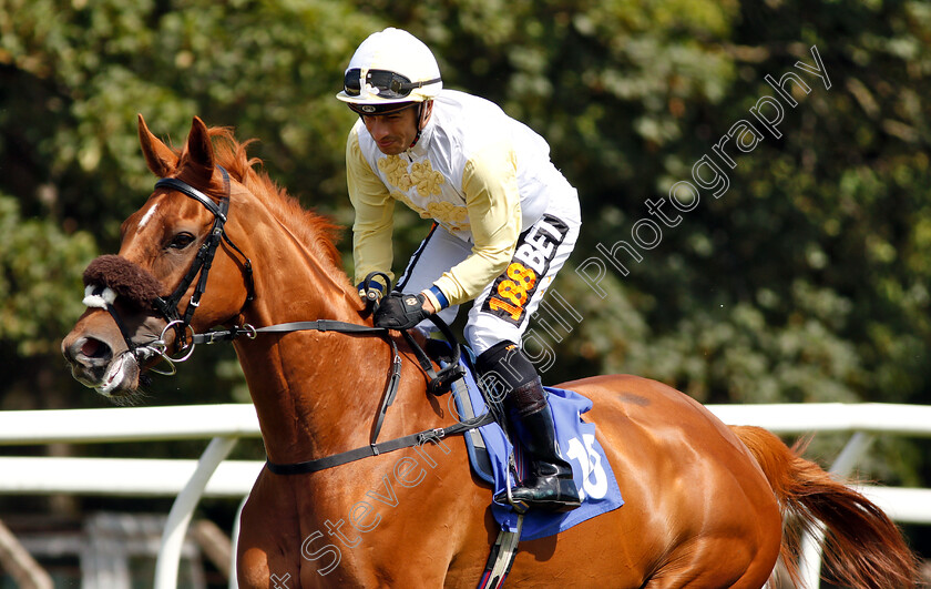 Stage-Name-0002 
 STAGE NAME (Silvestre De Sousa)
Pontefract 10 Jul 2018 - Pic Steven Cargill / Racingfotos.com