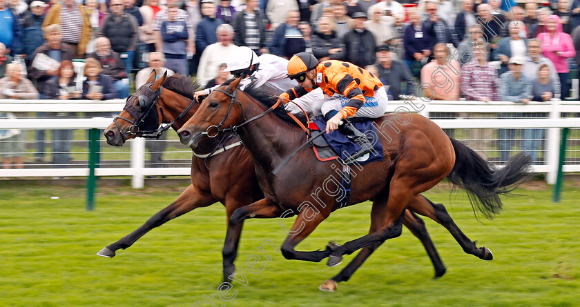 Ocean-Temptress-0003 
 OCEAN TEMPTRESS (farside, Jack Osborn) beats QUATRIEME AMI (nearside) in The Moulton Nursery Of Acle Handicap Yarmouth 19 Sep 2017 - Pic Steven Cargill / Racingfotos.com