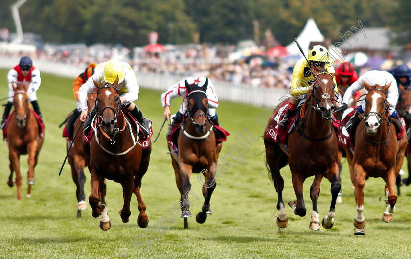 King s-Advice-0002 
 KING'S ADVICE (left, Joe Fanning) beats OUTBOX (right) in The Qatar Summer Handicap
Goodwood 3 Aug 2019 - Pic Steven Cargill / Racingfotos.com