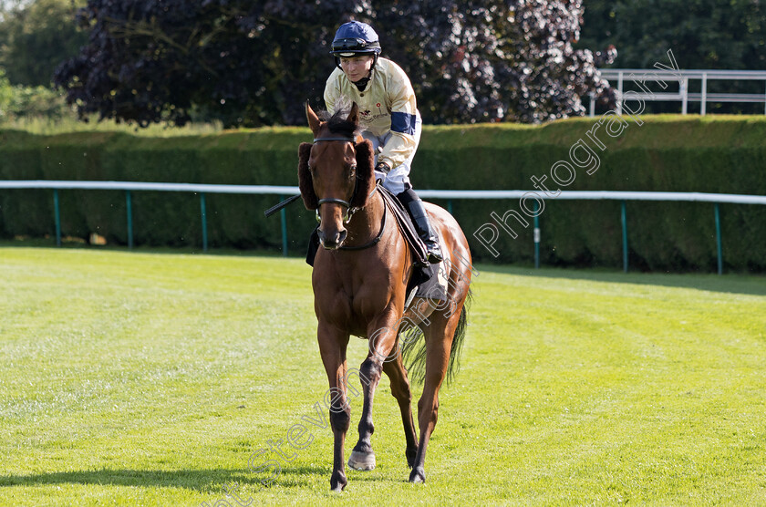 DC-Flyer-0001 
 DC FLYER (Paula Muir)
Nottingham 19 Jul 2024 - Pic Steven Cargill / Megan Dent / Racingfotos.com