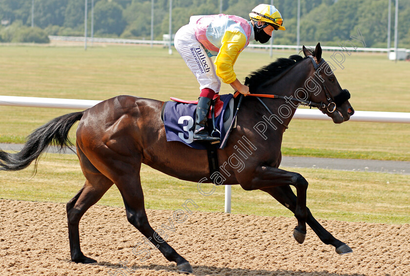 Khabib-0001 
 KHABIB (Cieren Fallon)
Wolverhampton 11 Aug 2020 - Pic Steven Cargill / Racingfotos.com