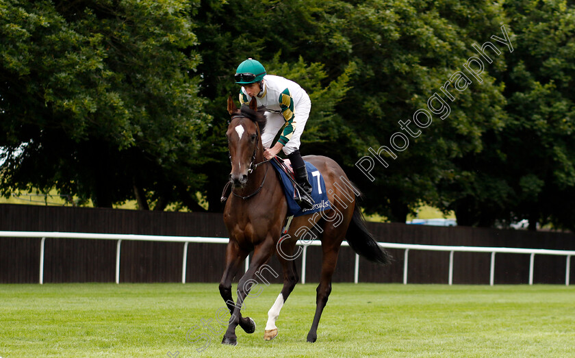 Porta-Fortuna-0009 
 PORTA FORTUNA (Ryan Moore) winner of The Tattersalls Falmouth Stakes
Newmarket 12 Jul 2024 - pic Steven Cargill / Racingfotos.com