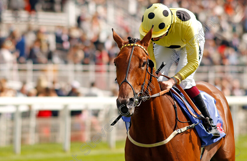 Imperial-Sovereign-0003 
 IMPERIAL SOVEREIGN (Sam James)
York 24 Aug 2024 - Pic Steven Cargill / Racingfotos.com