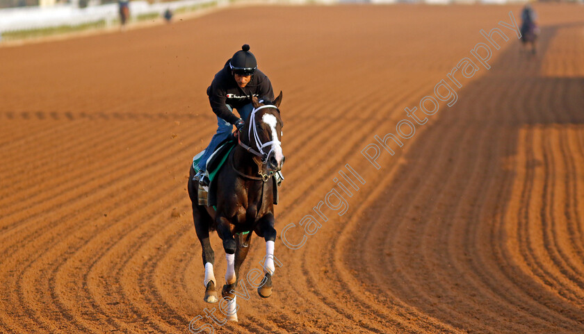 Hoist-The-Gold-0001 
 HOIST THE GOLD training for The Saudi Cup
King Abdulaziz Racecourse, Saudi Arabia 21 Feb 2024 - Pic Steven Cargill / Racingfotos.com